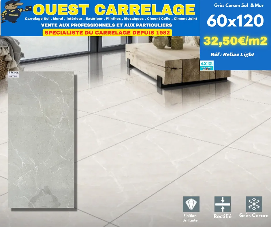 carrelage sol marbre GRIS