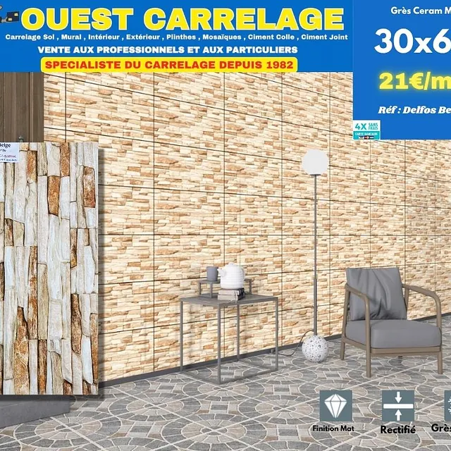 CARRELAGE BRIQUE 