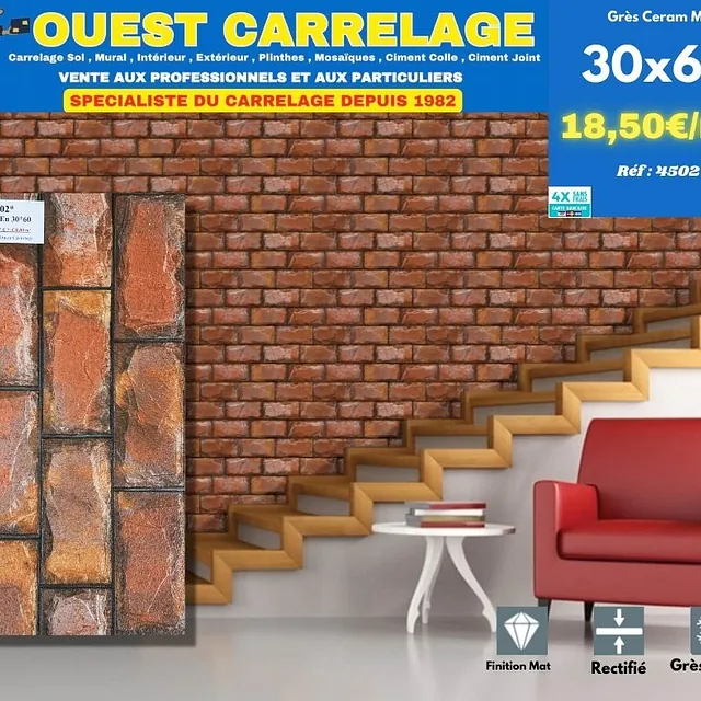 CARRELAGE BRIQUE 