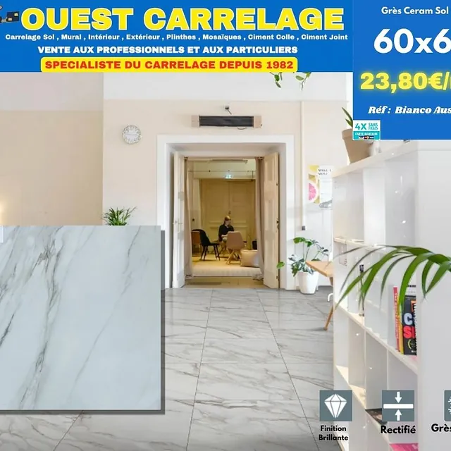 carrelage sol marbre BLANC