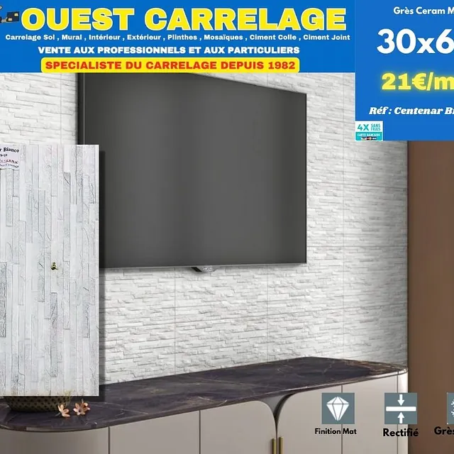 CARRELAGE BRIQUE 