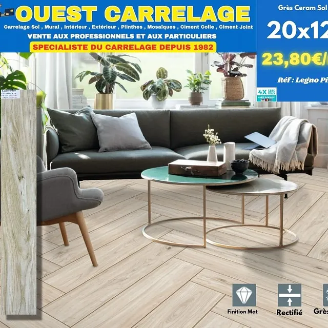 CARRELAGE EFFET BOIS PARQUET